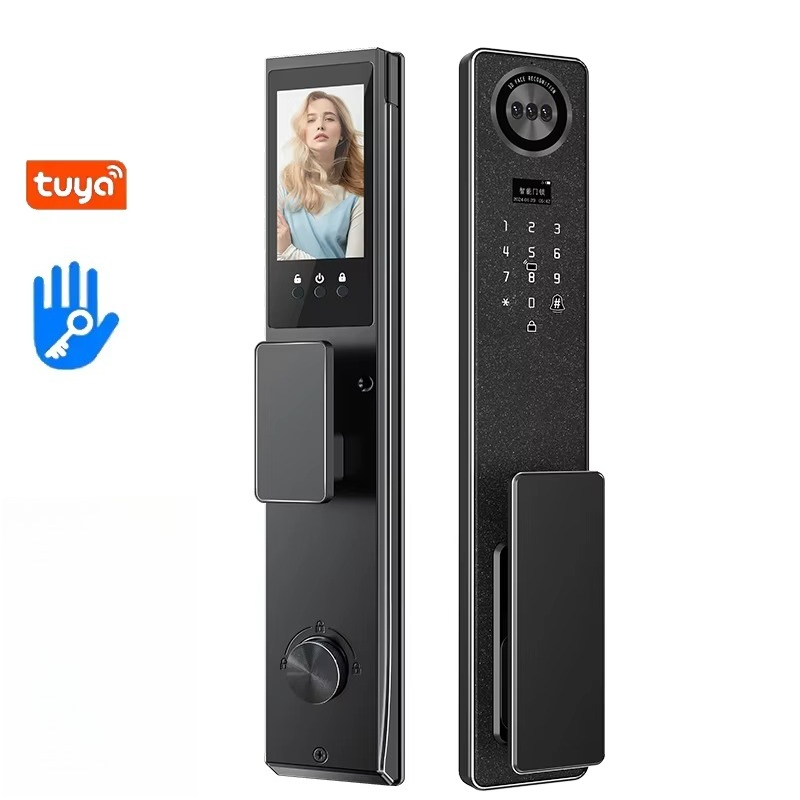 Door Lock - Tuya WiFi Smart Door Lock, biometrisches